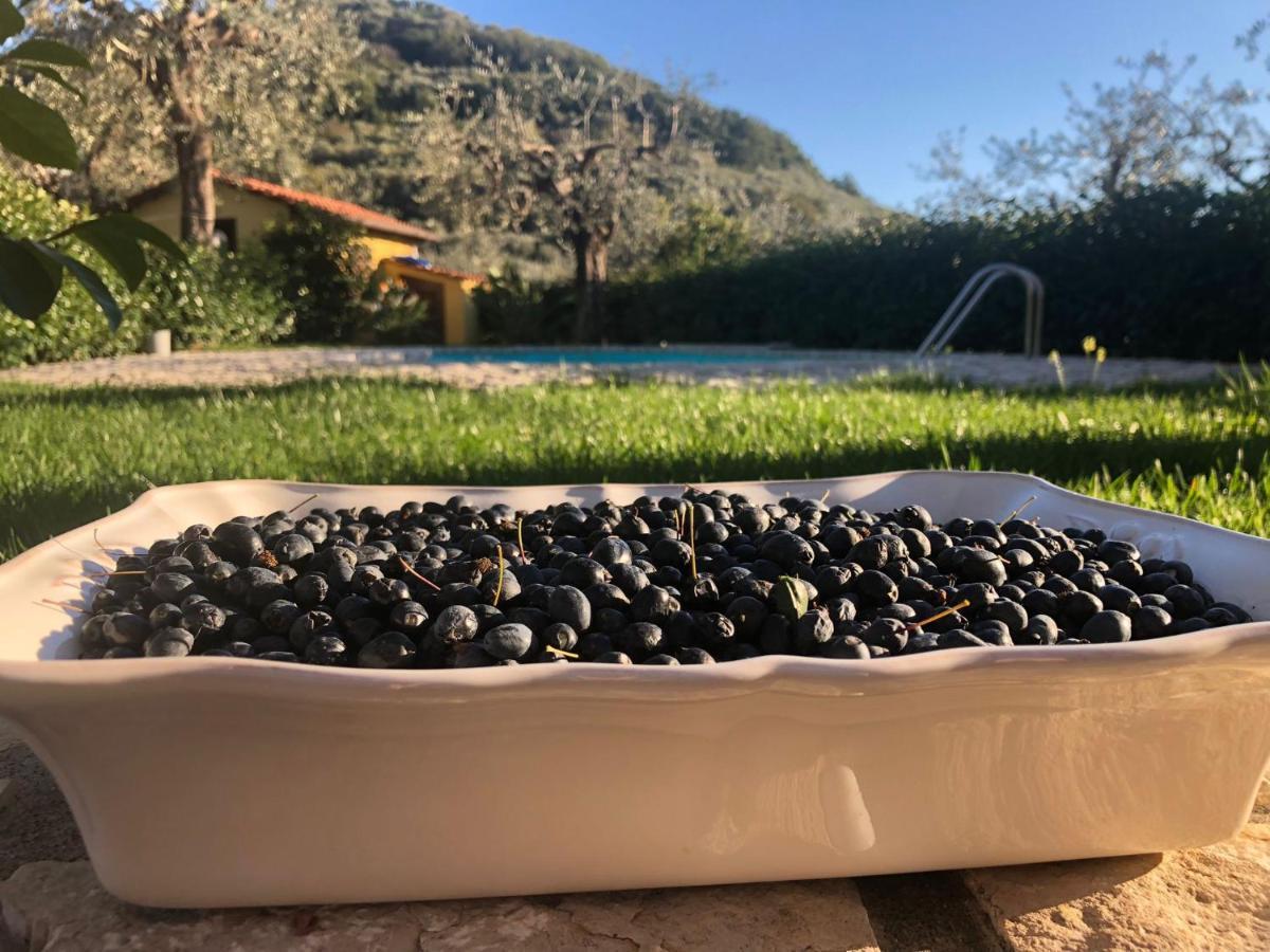 B&B La Quiete Massa Lubrense Bagian luar foto