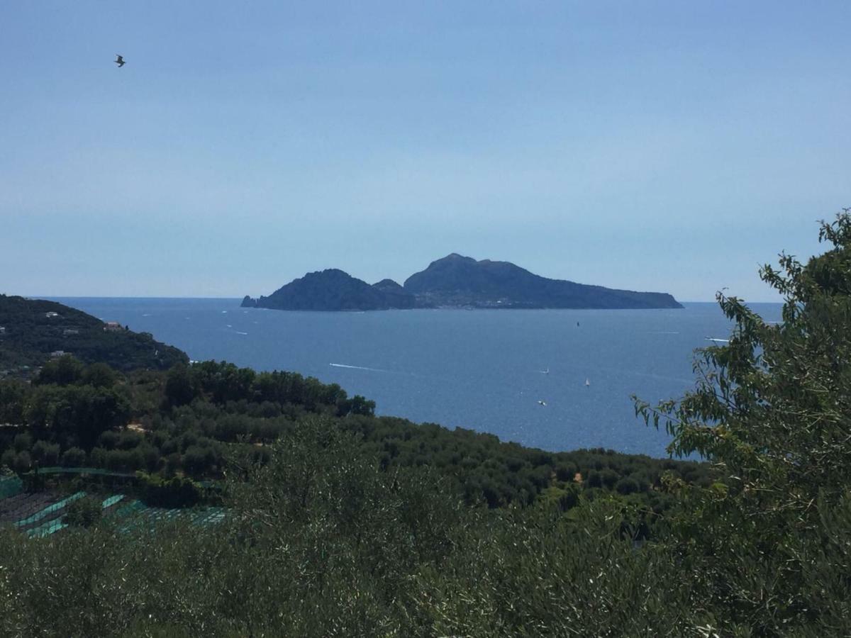 B&B La Quiete Massa Lubrense Bagian luar foto